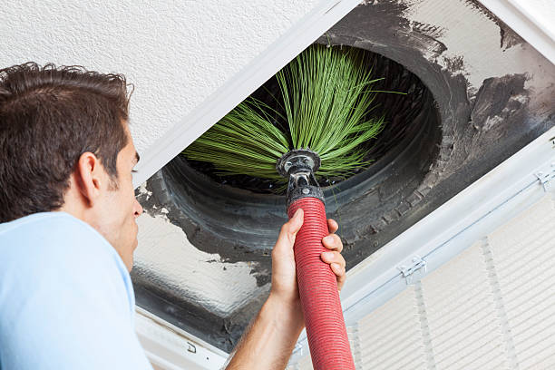 Best Best Air Duct Cleaning Company  in Lapeer, MI